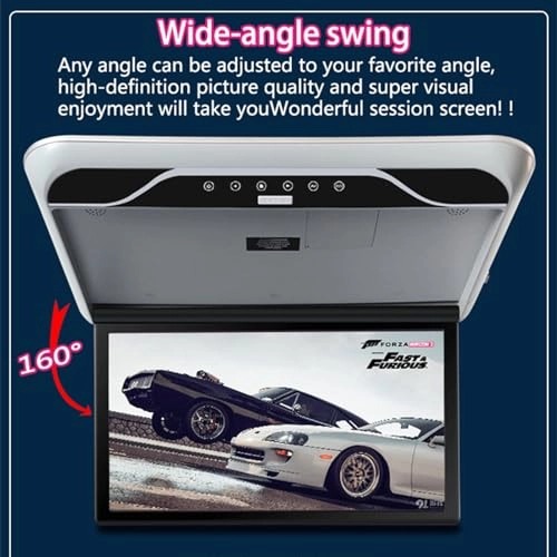 Car ceiling display - 19-Inch