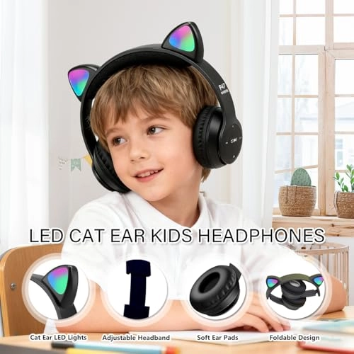 P47M Wireless Headphone