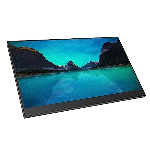 Portable Monitor - POENVFPOsozyr41unk 17.3 inches 2560 x 1440
