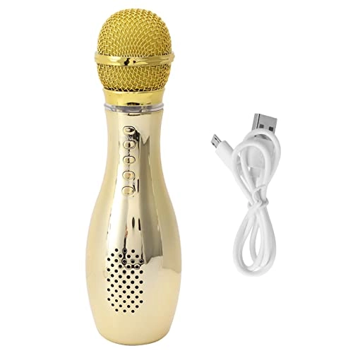 KTV Microphone Wireless Microphone