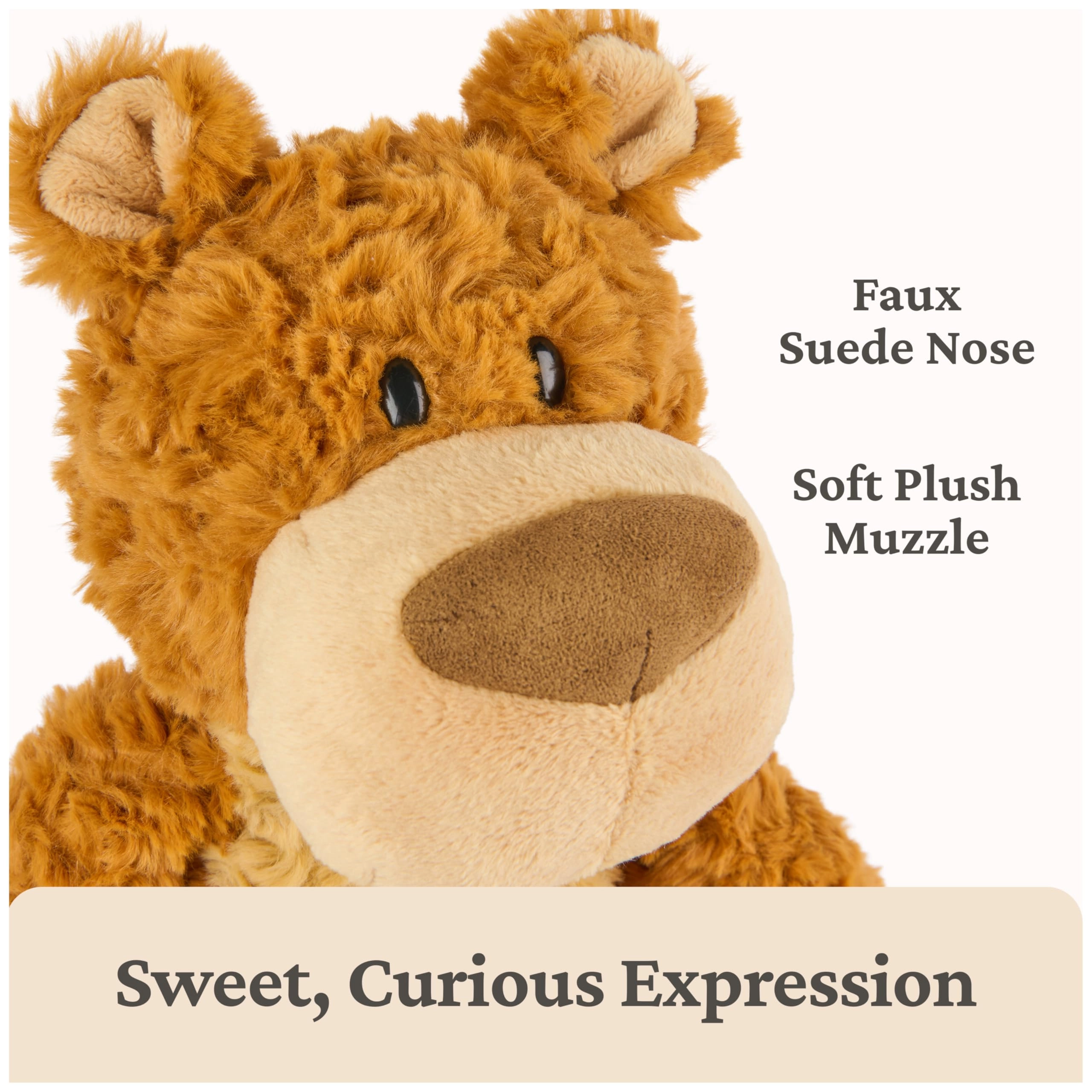 Bexley Teddy Bear
