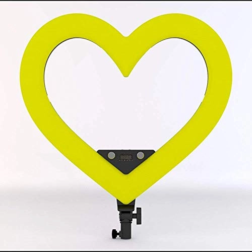 Ring Light - 19 Inch