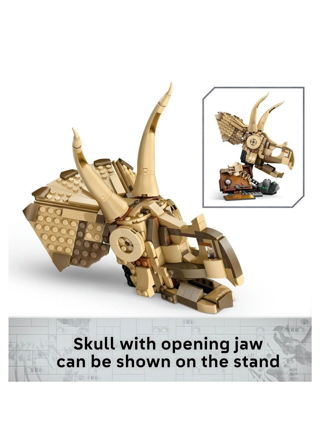 Jurassic World Triceratops Skull (76969)
