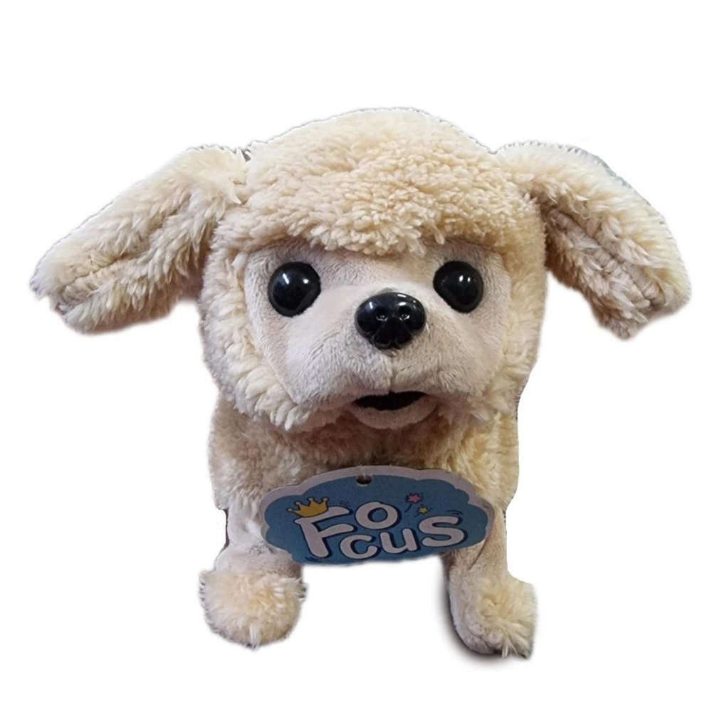 Jawda Battery Operated Poddle Toy - 7.28-Inch