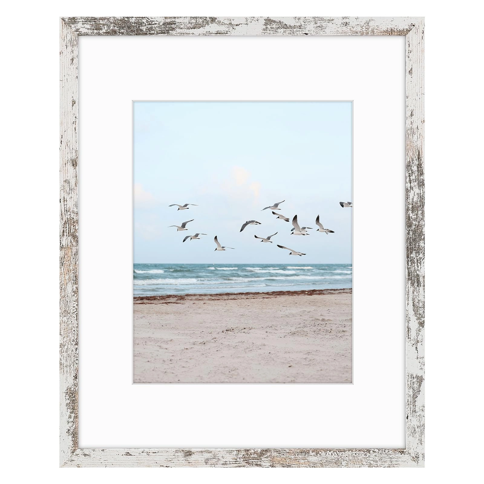16x20 Frames Display