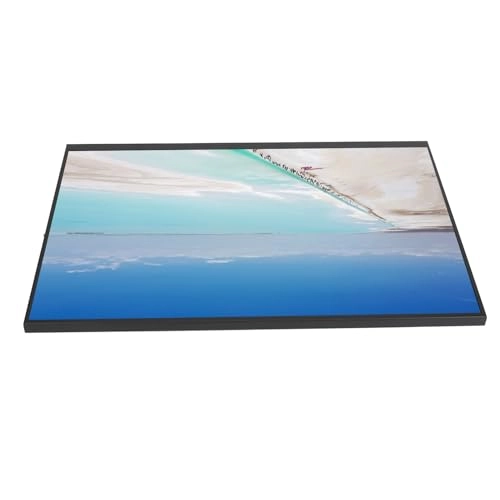 Portable Monitor - 1920 x 1200P 18 inch