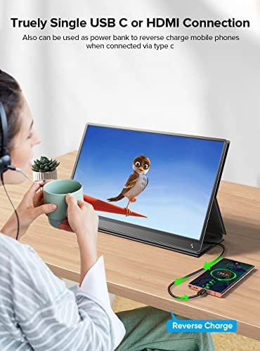 Portable Monitor Touchscreen - 81fab1b8-d1bf-421f-b898-9c6d54220555 15.6 Inches 1920x1080