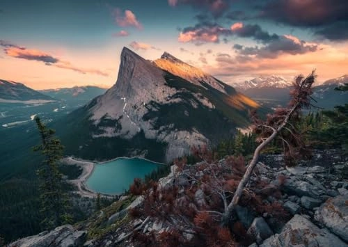 Wild Nature Puzzle (12000033-4) - 1000 pcs