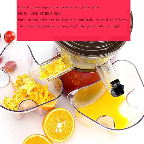 Wide Chute Slow Masticating Juicer Extractor - 250 watts 500 Milliliters