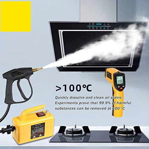 Steam cleaner - 3 BAR 250ML