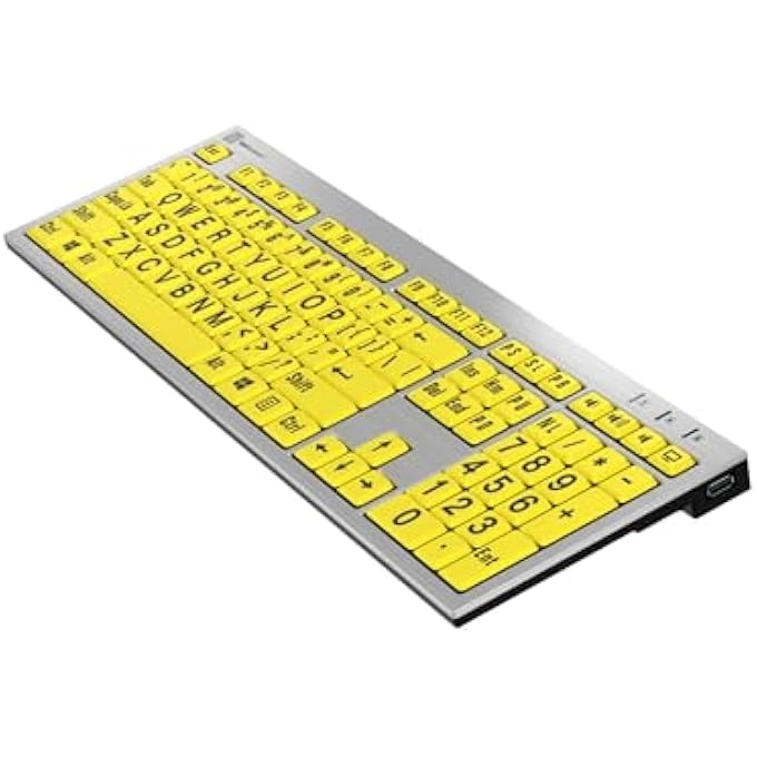 LARGE PRINT BACKLIT KEYBOARD