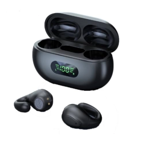 HX-M31 Wireless Earbud