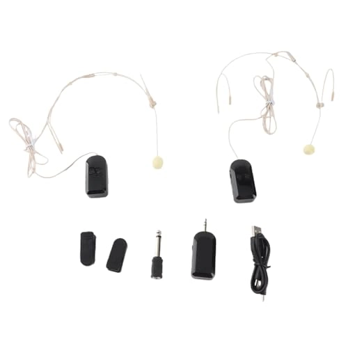 n1ukbordfh - 2 microphones 2.4G