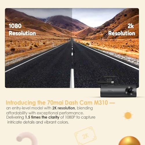 M310 2304 X 1296 pixels