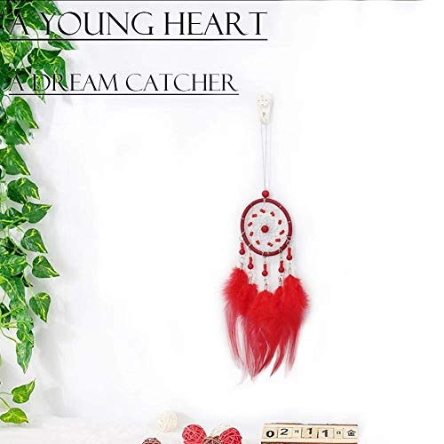 Dreamcatcher - Siderosphere, feathers, lines, wood beads.