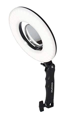 RL-08 - 8 inches/20 centimeters