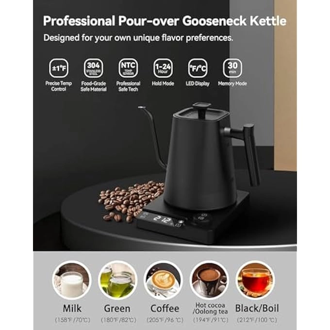 Temperature Control Electric Kettle