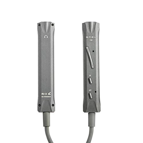 I2 - Audio D/A Converter (DAC)