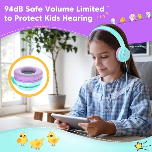 BH123A Wired Headphone