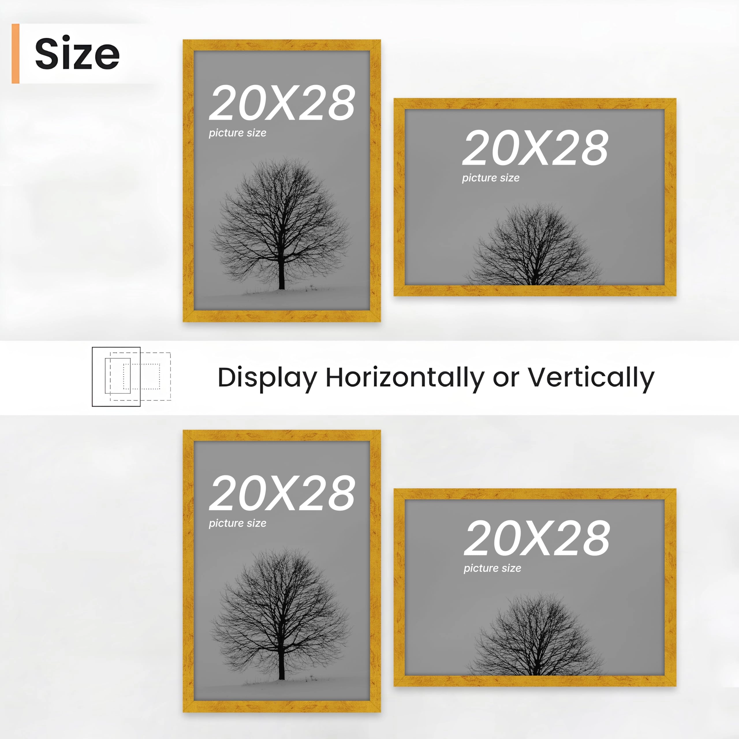 Document Frame - 20x28 Inch