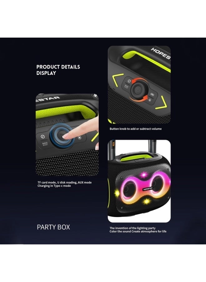 Party Box - 2 Microphones 120W