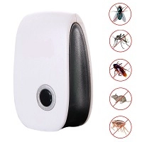 Insects & Pest Control