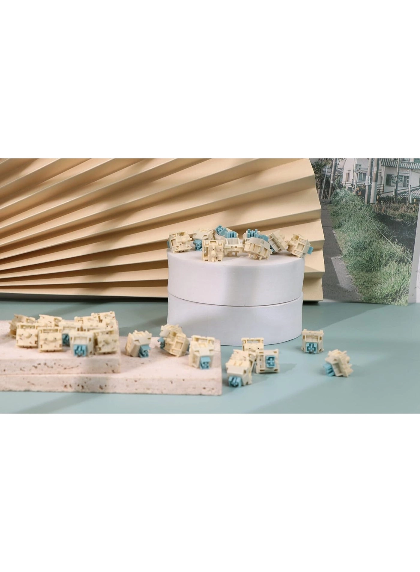 Budgerigar - 35 Pieces