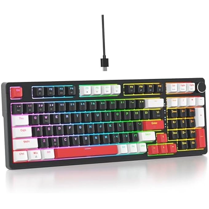 rayihni K98SE - Wired