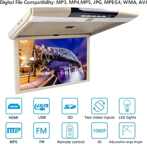 MP5 Ceiling Display - 17.3 Inch