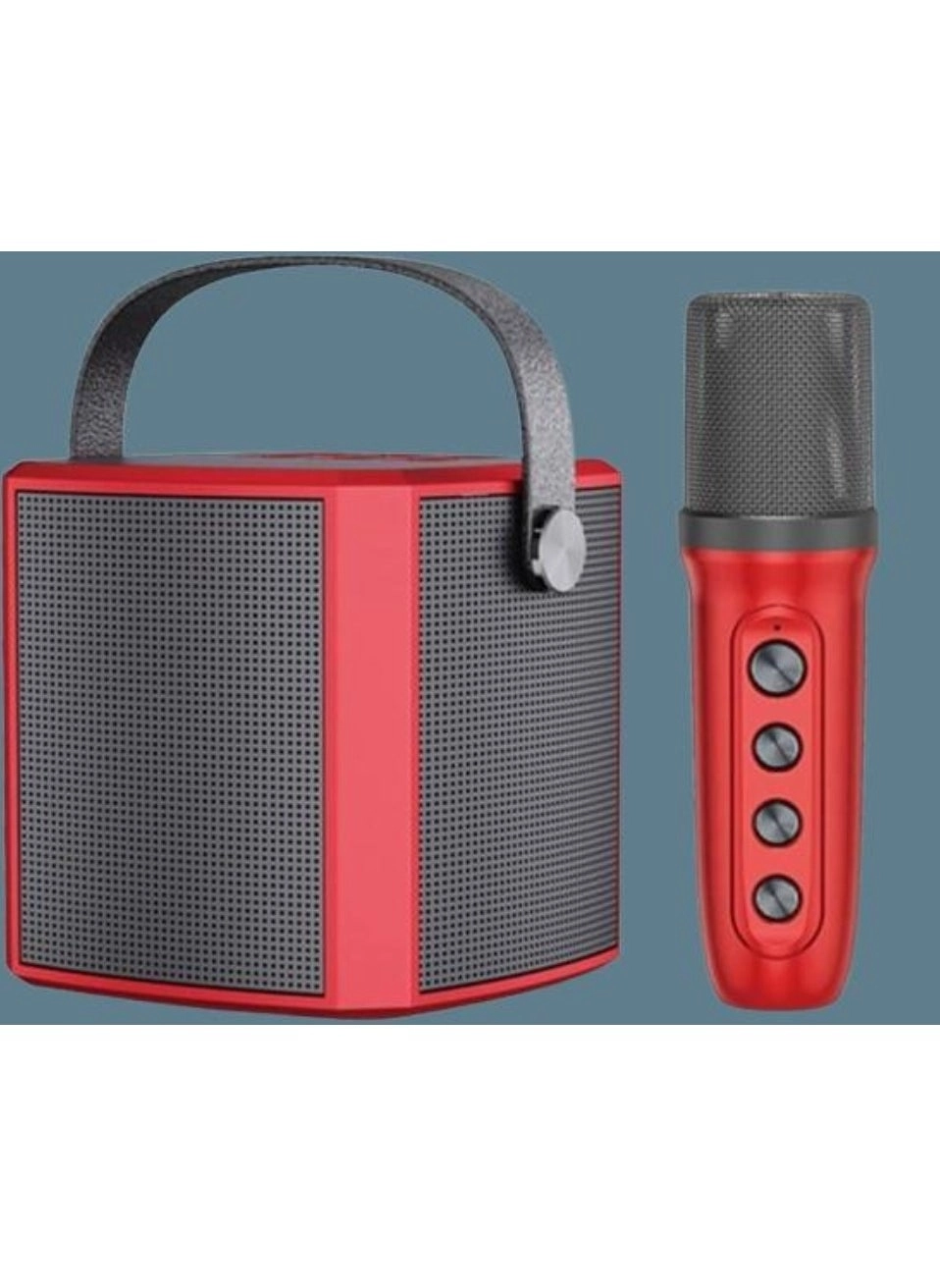 Portable Bluetooth Karaoke Speaker - Rechargeable wireless microphone Type-C charging TF Card support