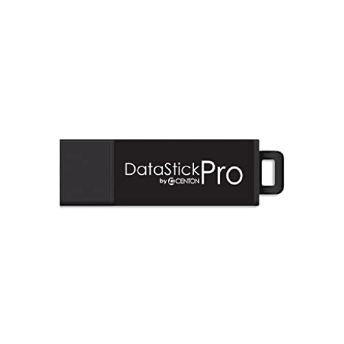 DataStick Pro - USB 3.2 Gen 1 32 GB