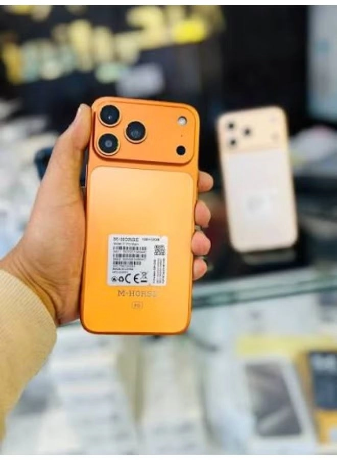 17 pro max 12GB 256GB