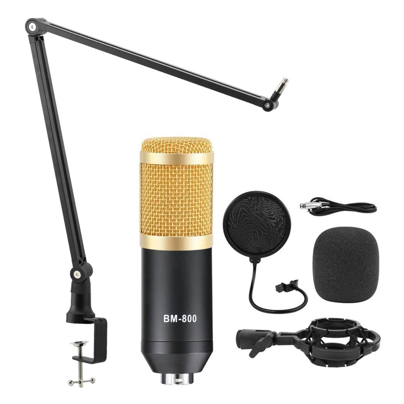 BM 800 + V8XPRO + Tripod Wireless Microphone
