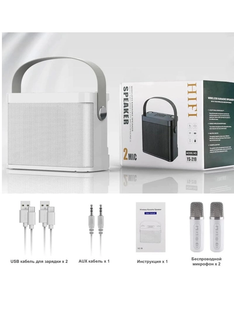 YS-219 - 2 Wireless Microphones