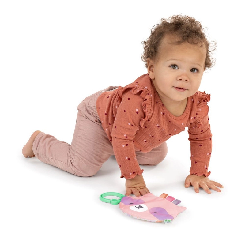 Raccoon Crinkle Toy - 0 month soft fabrics Deni