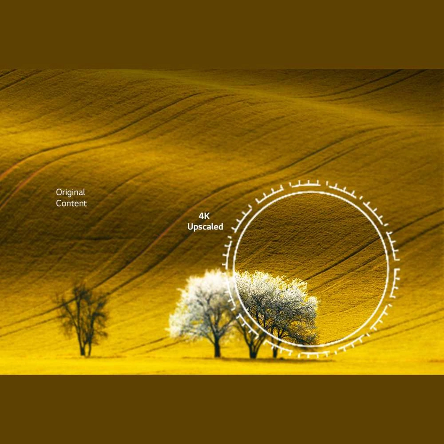 86UR78006LC-AMAG - 86 Inch