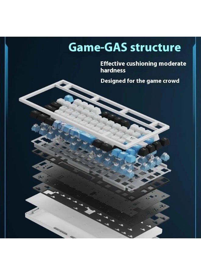 V75X - Wired/Wireless