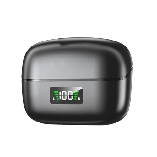 Leftweitflgse4np2-11 Wireless+USB Microphone