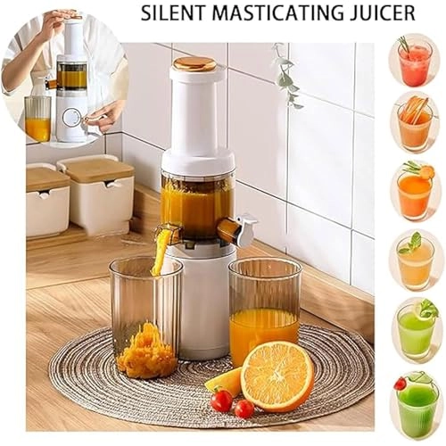 Fruit and Vegetable Juicer - 120W 625ml