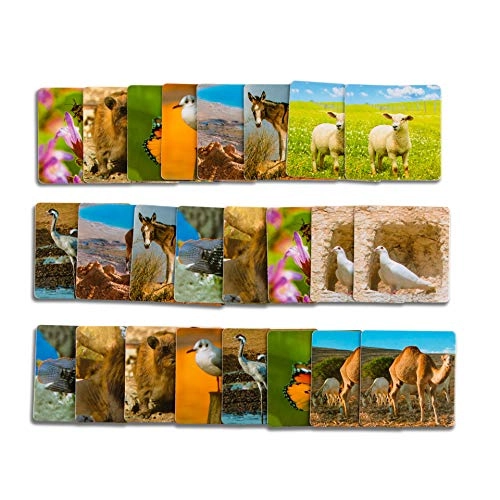 Animals Memory Card Game - 3+ 24 pieces