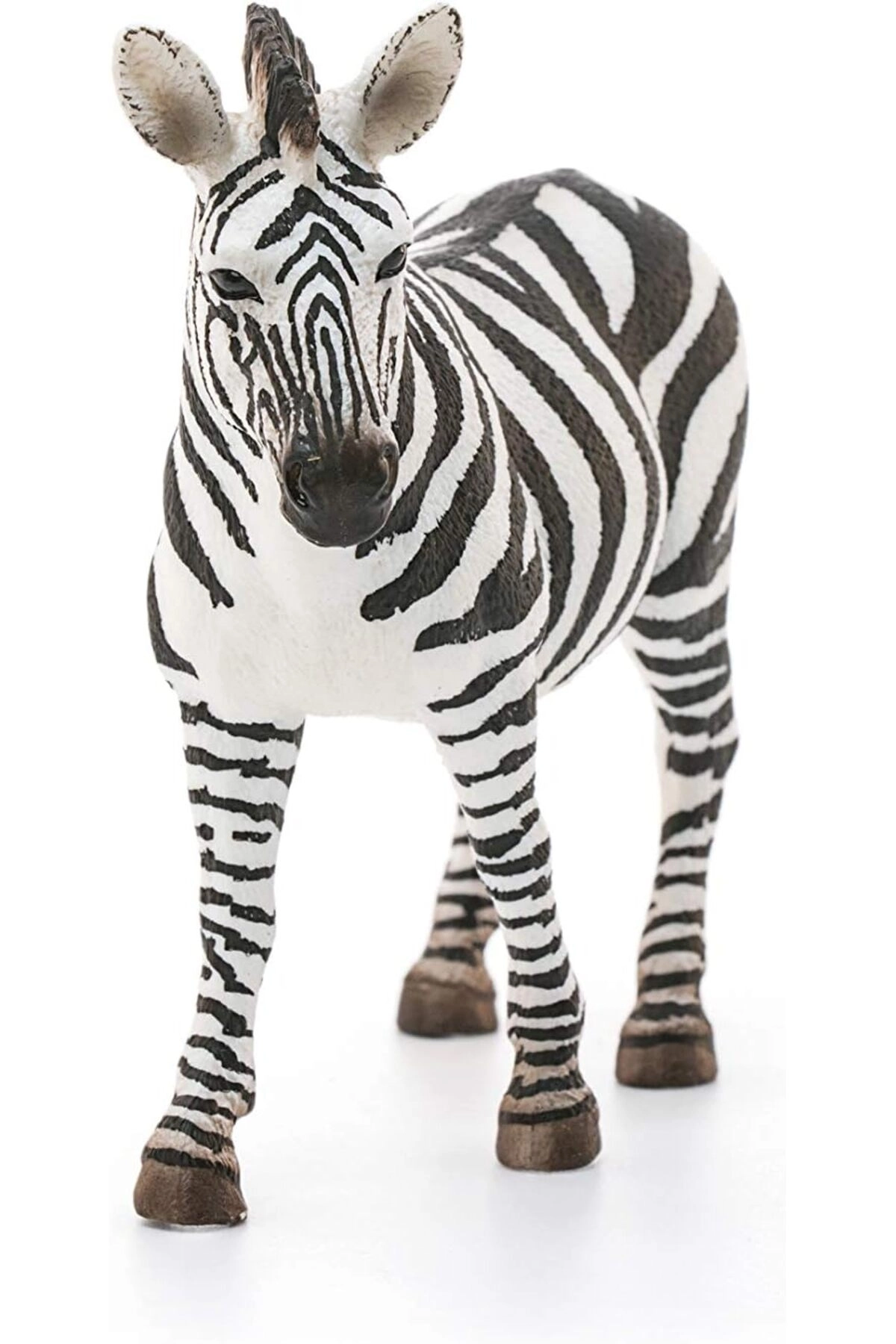 Zebra - 3 to 8 1 Piece