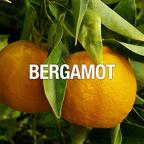 Sport - 125 Milliliters