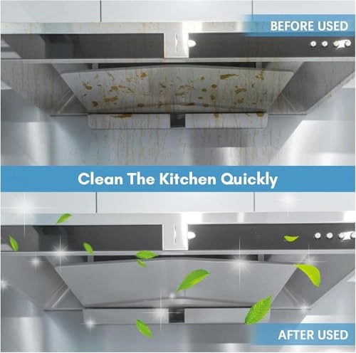 Handheld Steam Cleaner - 350 Milliliters