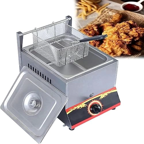 Multi-Function Gas Fryer 11L 974