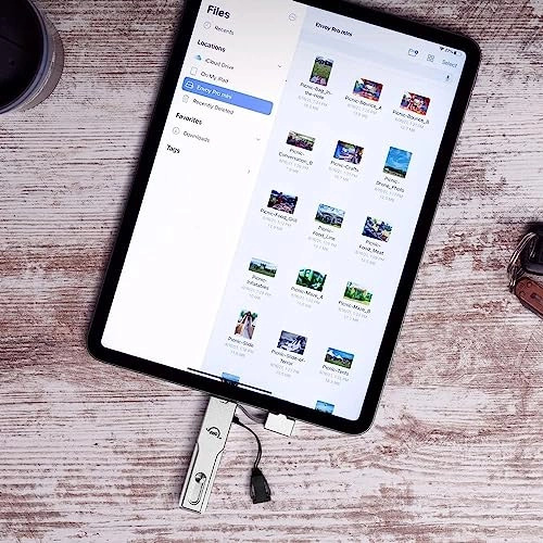 Envoy Pro Mini - 250 GB