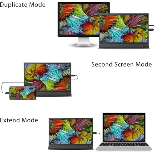 Portable Display - 1080P 15.6-inch
