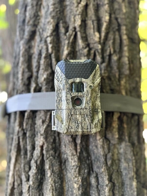 Ridgeline Wraith - 26 MP