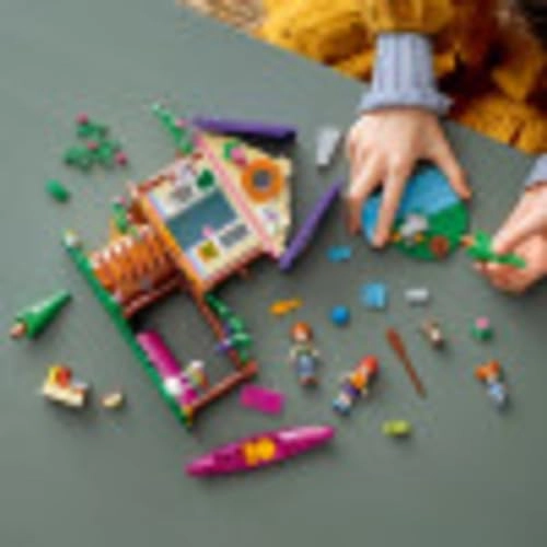 Friends Forest House (41679)