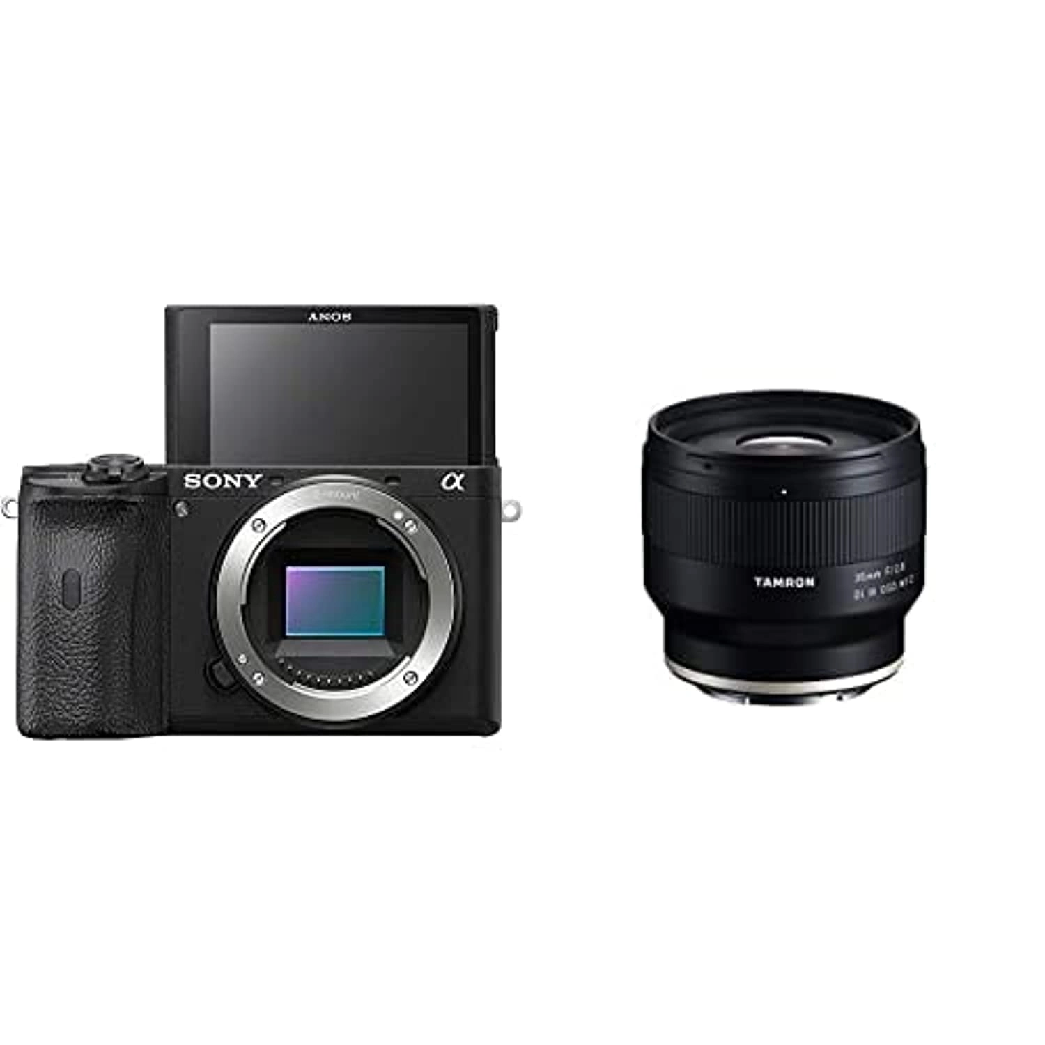 Sony Alpha A6600 + 35Mm F/2.8 Di Iii Osd M1:2