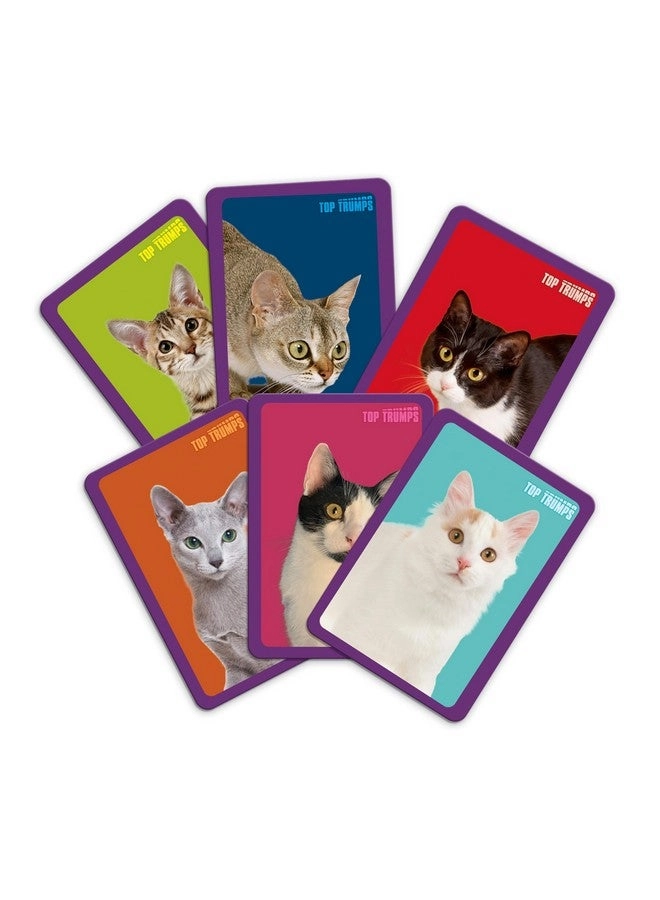 Match Game Cats